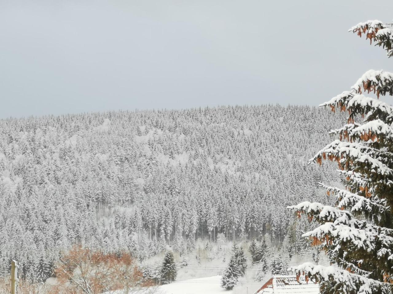 Hohengasthof Rossle Hotel Schluchsee Bagian luar foto