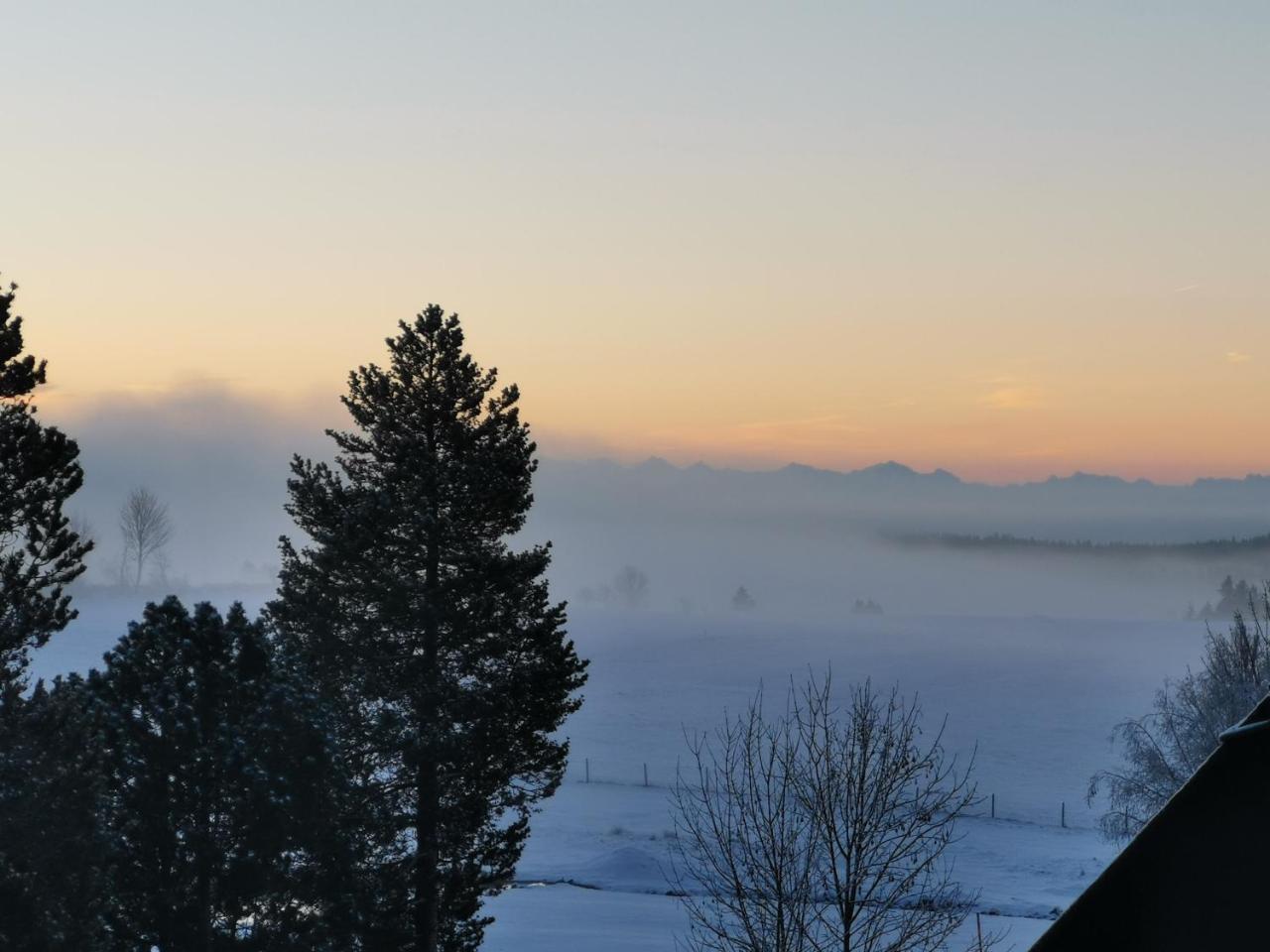 Hohengasthof Rossle Hotel Schluchsee Bagian luar foto